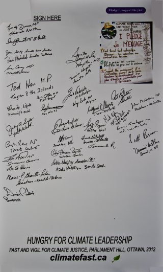 Liberal signatures